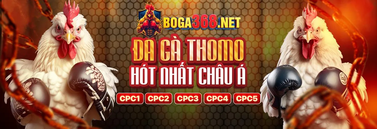 Cập nhật chương trình khuyến mãi độc quyền 566bet